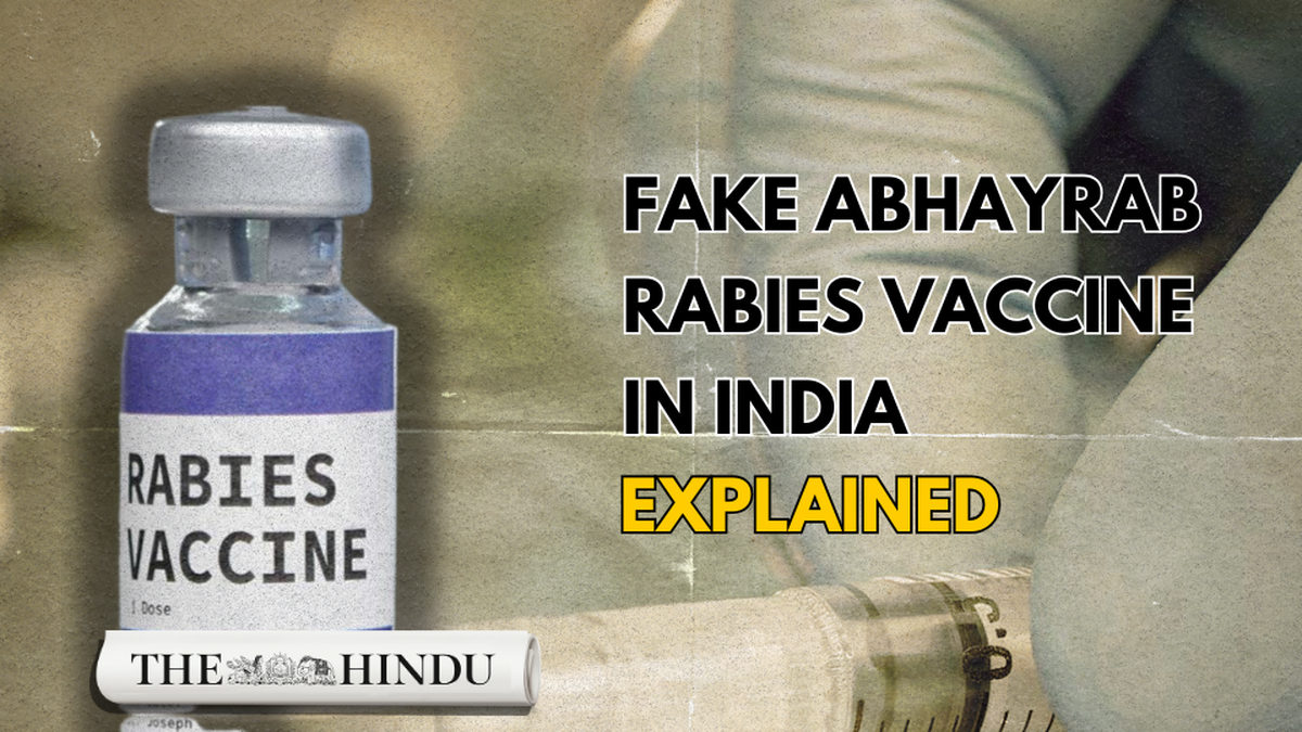 Watch: U.S. and Australia issue alert on fake anti-rabies vaccine in ...