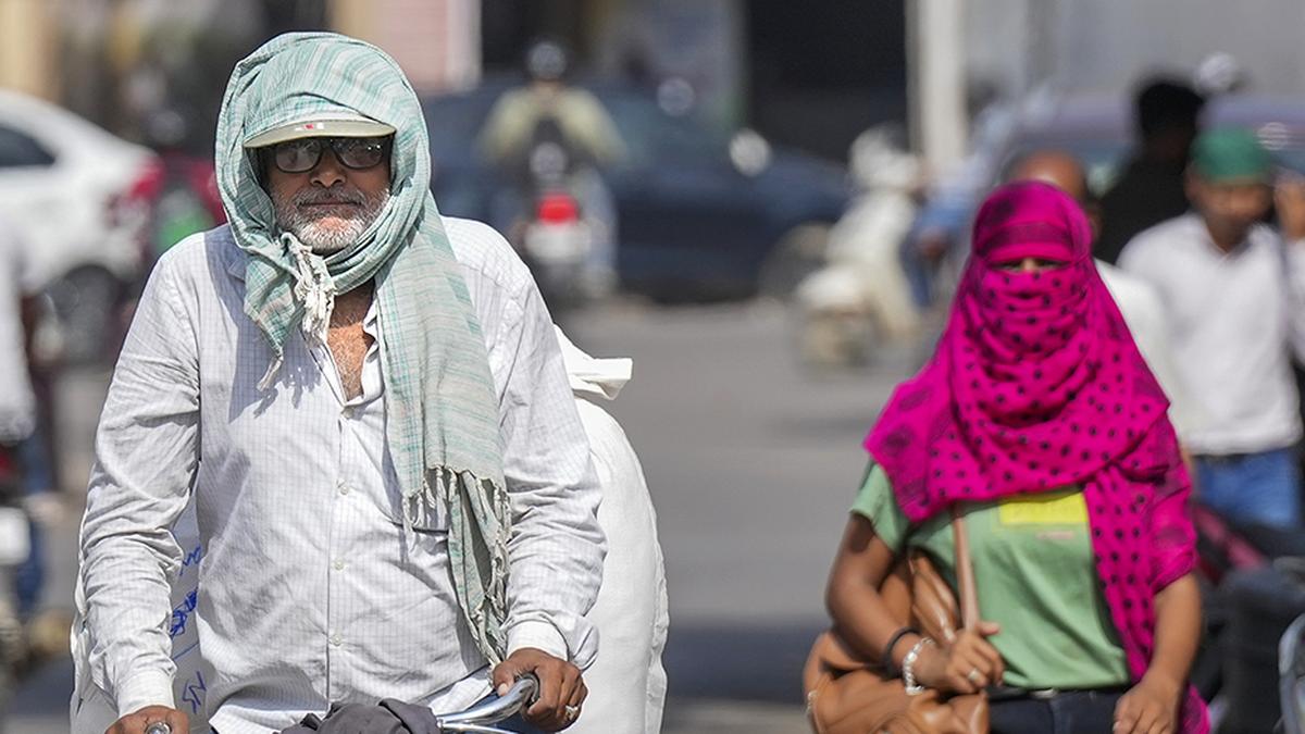 India most likely undercounting heat-related deaths, says former WHO Chief scientist Soumya Swaminathan