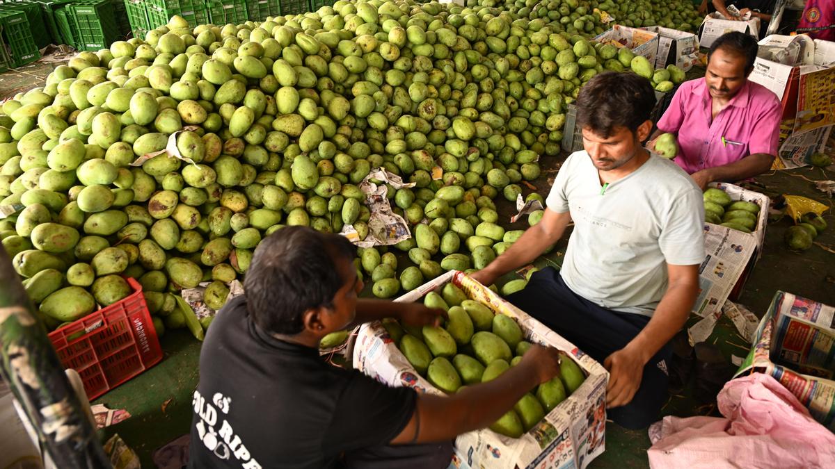 Economic Survey 2025-26: 'Frequent policy changes at export front disrupt supply chains; markets once lost hard to regain'