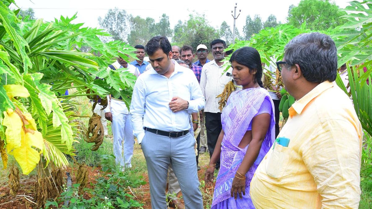 Sri Sathya Sai Collector lauds woman for her success in natural farming
