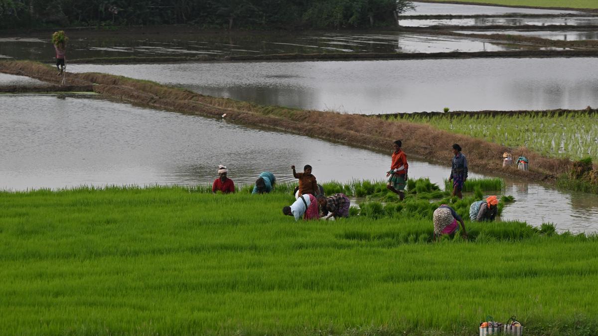 Farm sector’s continued poor performance, an area of concern for Tamil Nadu