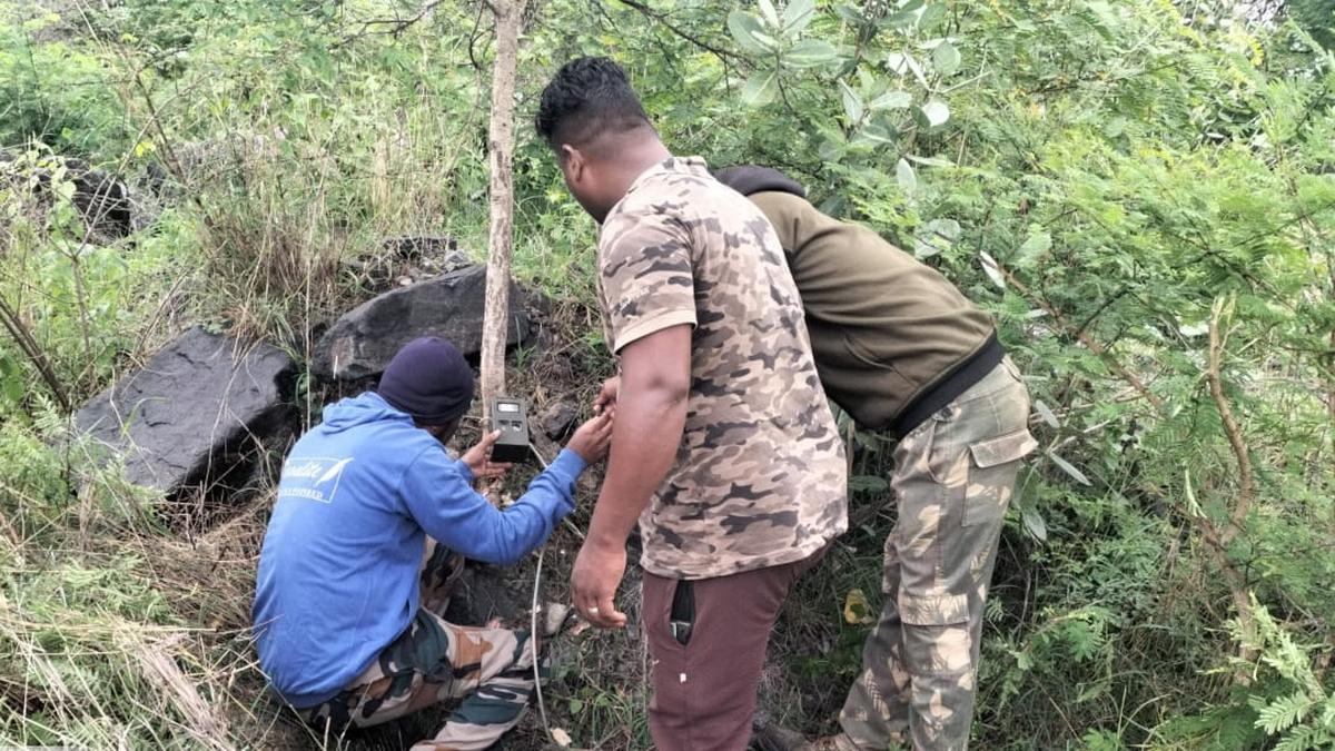 Efforts underway to drive leopard, cubs, spotted in quarry, back into forest in Erode’s Talavadi