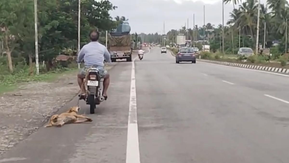 Motorist booked for pulling dog on a motorbike in an inhuman way