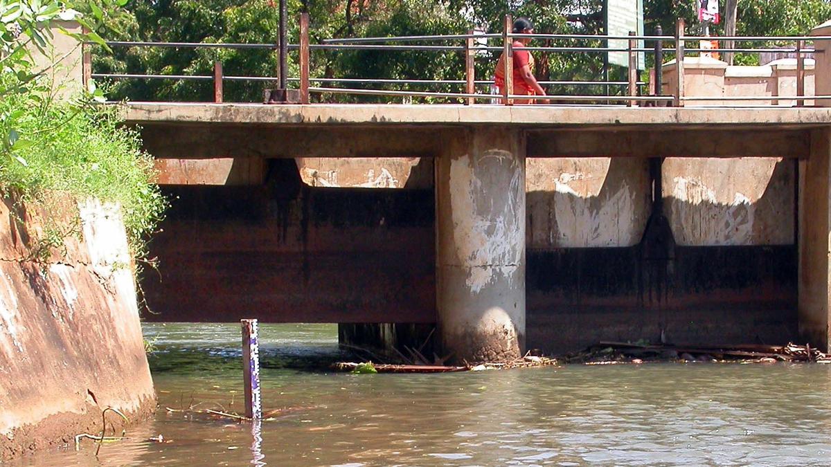 Surplus water from Pechiparai dam released in Tamirabharani river, says Kanniyakumari Collector