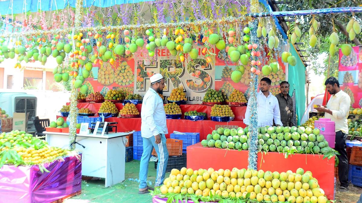 Mango Diversity Show at Sangareddy FRC inaugurated