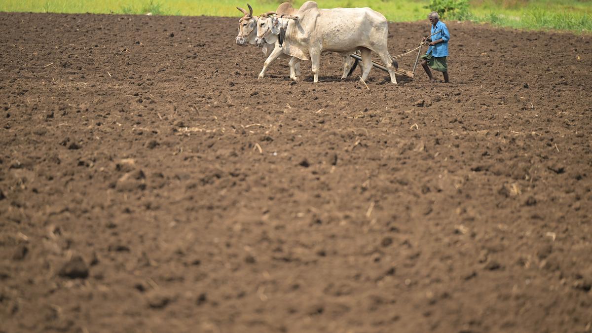 Farmers in Andhra Pradesh dread plummeting water levels in reservoirs ahead of kharif