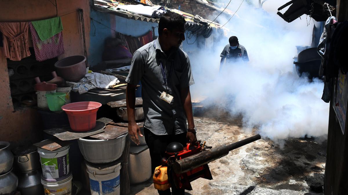 Tamil Nadu Public Health Act invoked for dengue control