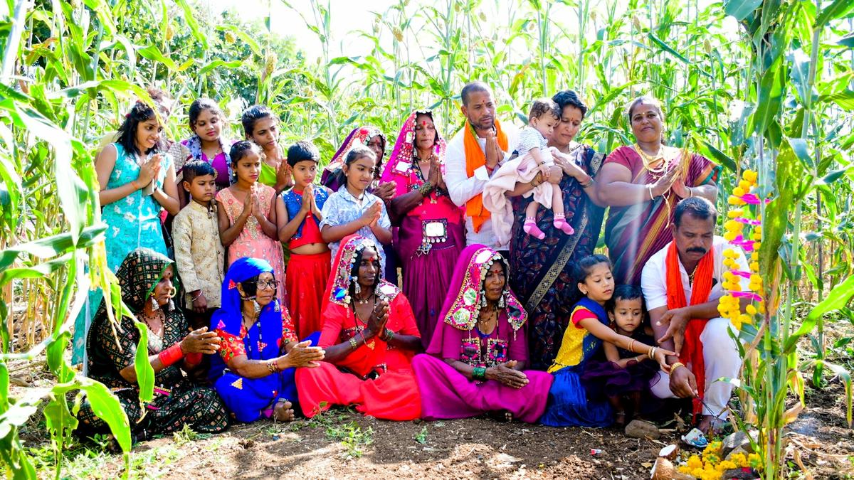 Celebration time for farmers in Kalaburagi