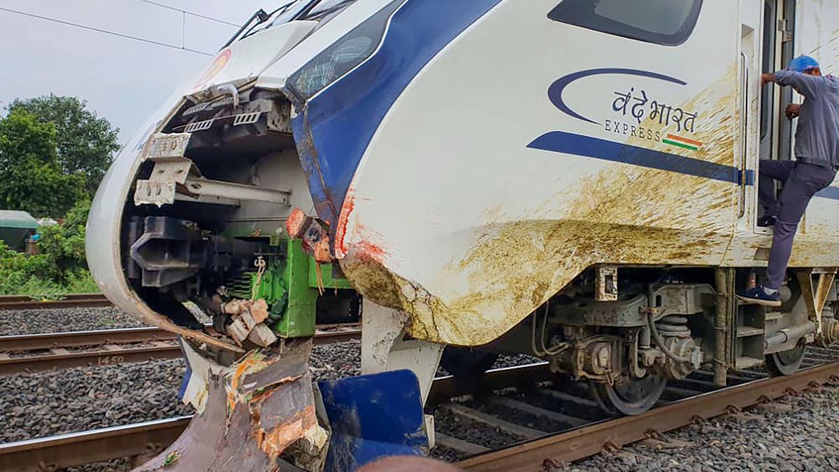 Vande Bharat train damaged after hitting buffaloes - The Hindu