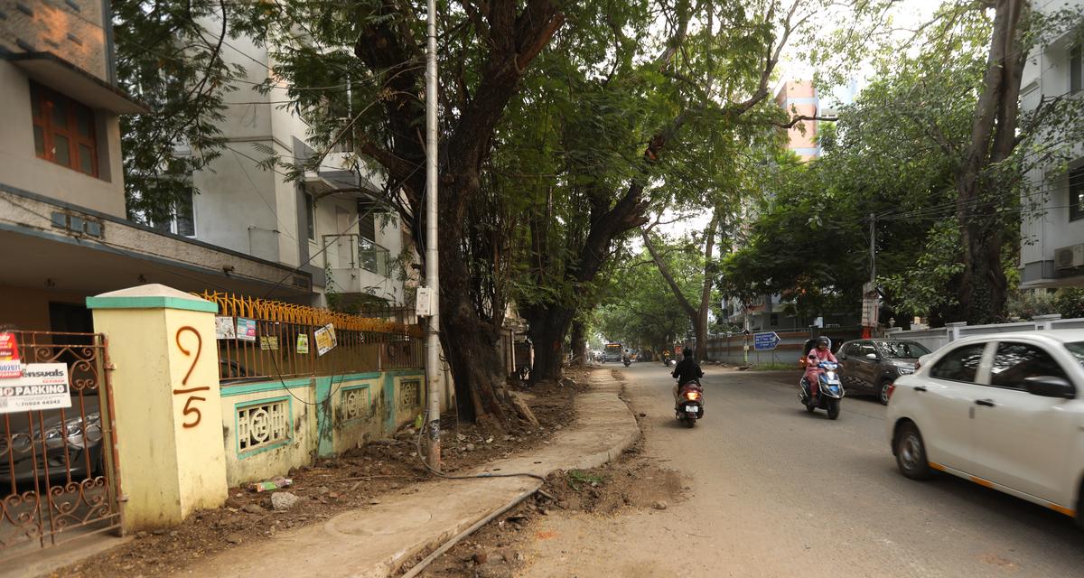The stormwater drain skirts around trees at East Abhiramapuram First Street. The image was taken on October 9, 2025. The stormwater drain skirts around trees at East Abhiramapuram First Street. The image was taken on October 9, 2025.