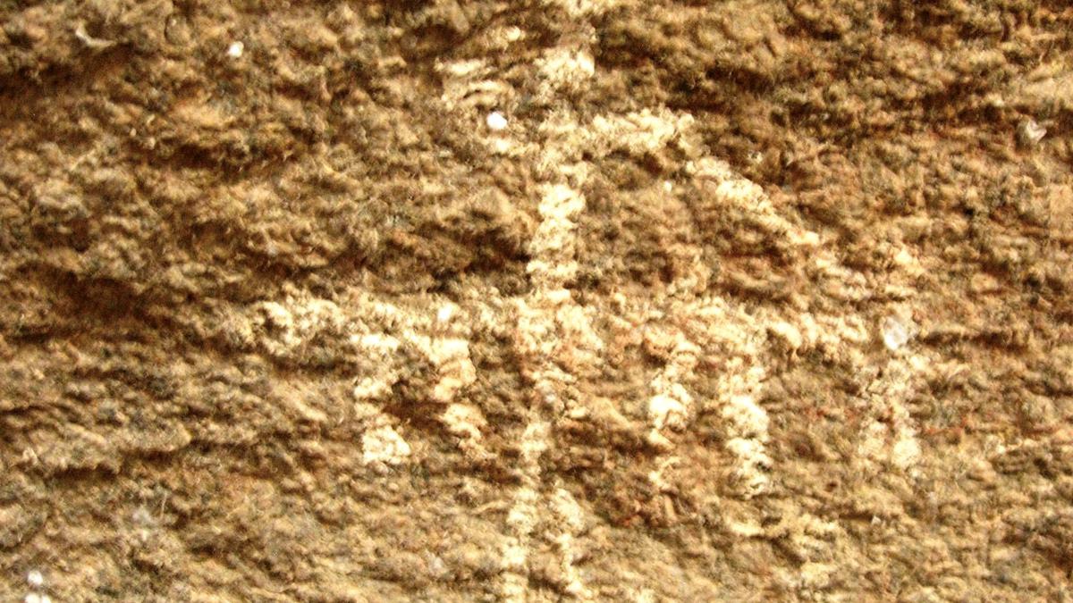 Archaeologist reports Mesolithic-era rock paintings in Guntur