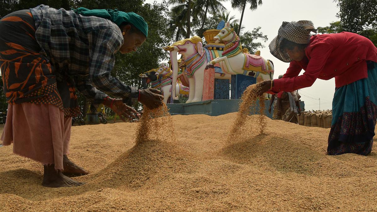 Tamil Nadu scores a hat-trick in exceeding 40-lakh-tonne mark in paddy procurement