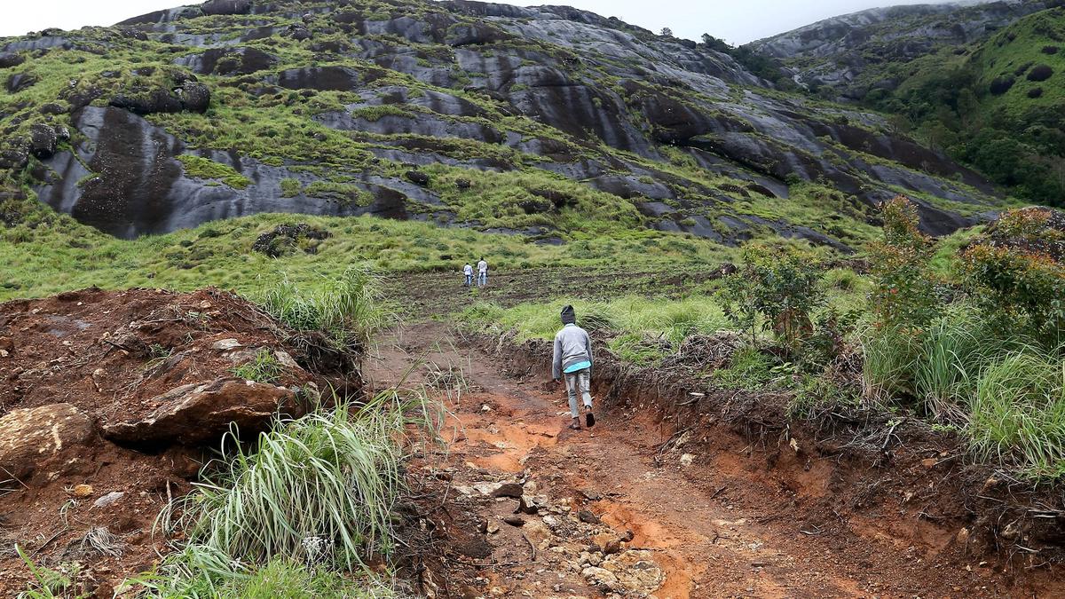 Kerala Assembly: UDF stages walkout over Idukki encroachments