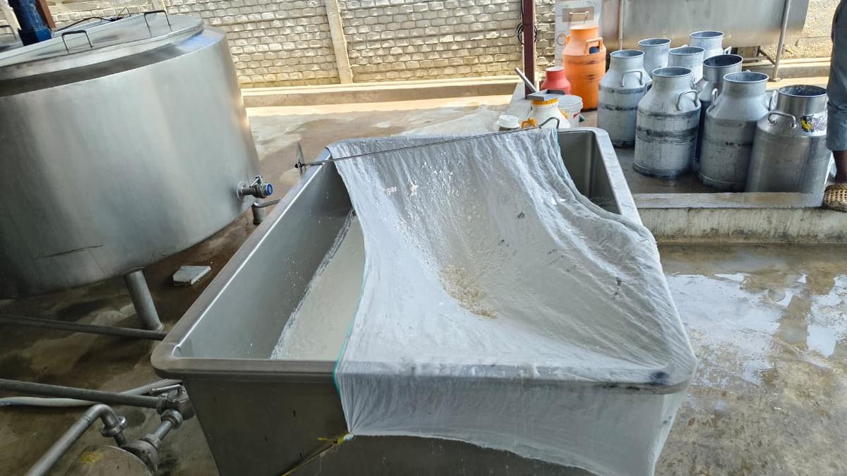 ₹7.78 lakh worth milk, ghee seized in Hyderabad during Statewide food safety drive