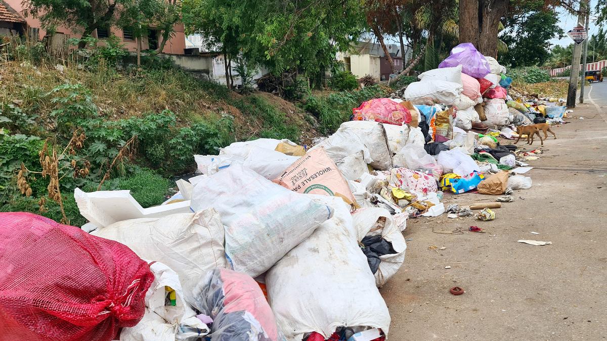 Public dumping of waste persists in Coimbatore despite removal of garbage bins