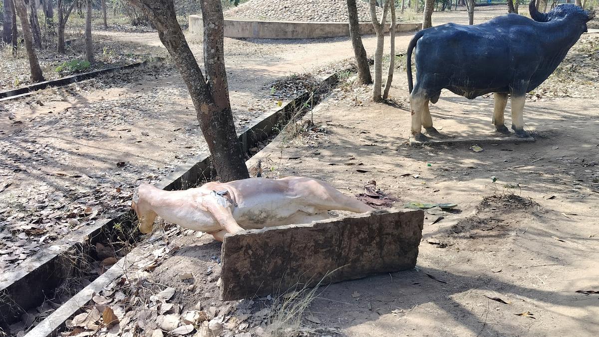 6-year-old girl dies during visit to Muddinakoppa Tree Park near Shivamogga