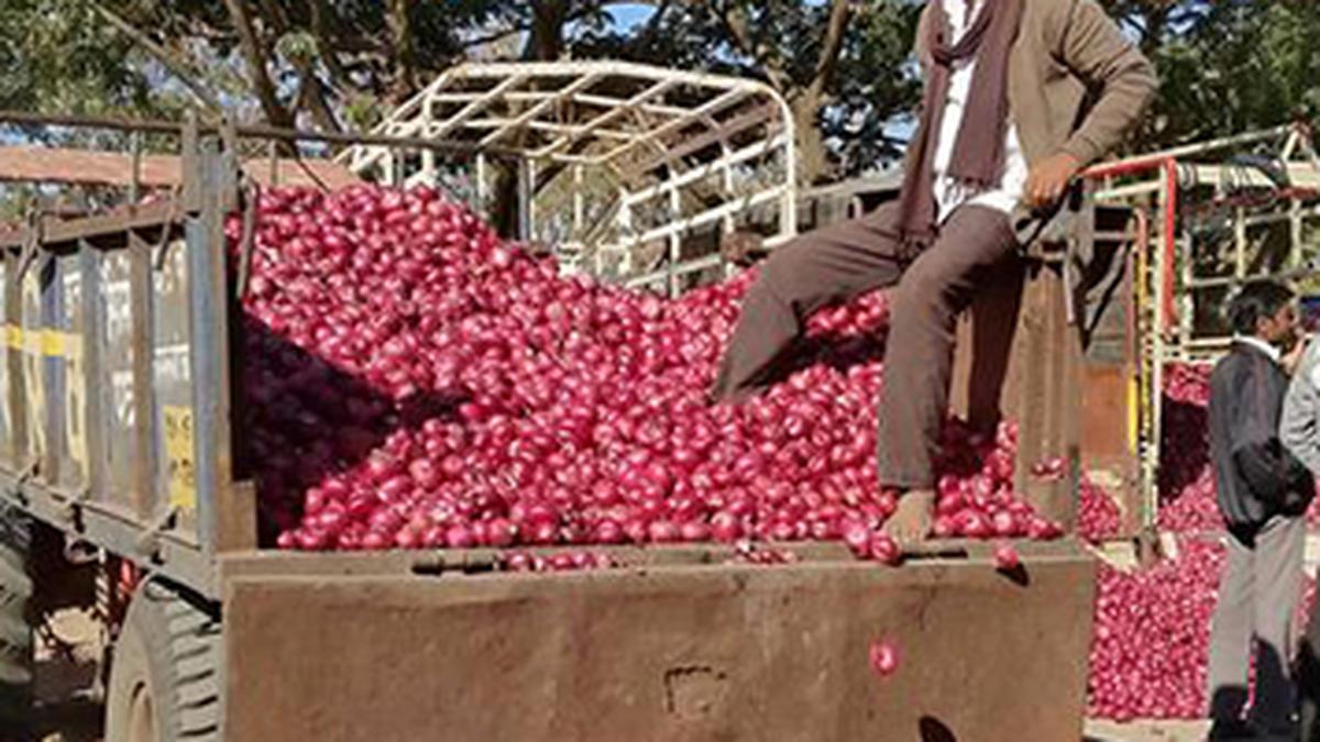 Onion auctions resume at Mumbai’s Lasalgaon market after farmers’ protest over price drop 