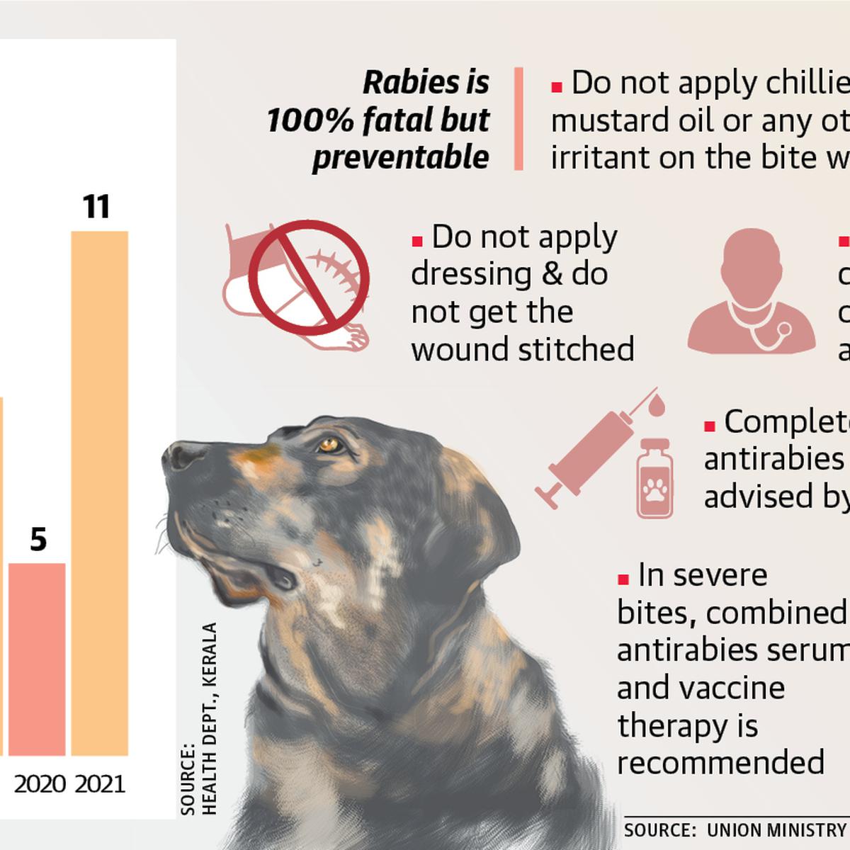 Draft Animal Birth Control rules suggest allowing natural death to rabid  dogs - The Hindu