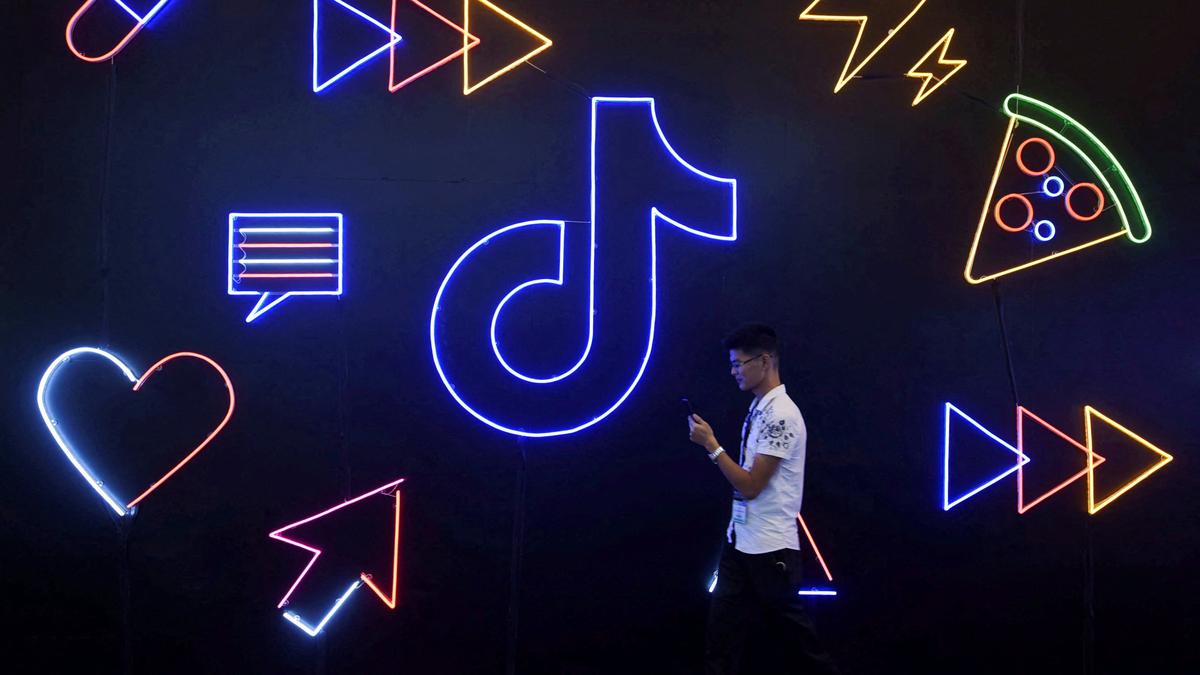 TikTok CEO sought Elon Musk's input ahead of Trump administration: Report