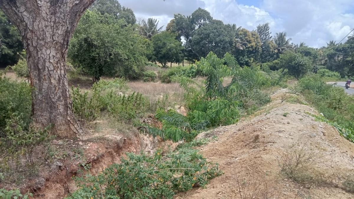 Farmers in Erode district’s Talavadi call for better elephant-proof measures to help decrease negative human-animal interactions