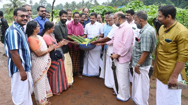 At Kanjoor’s brick kiln, a bountiful harvest of vegetables