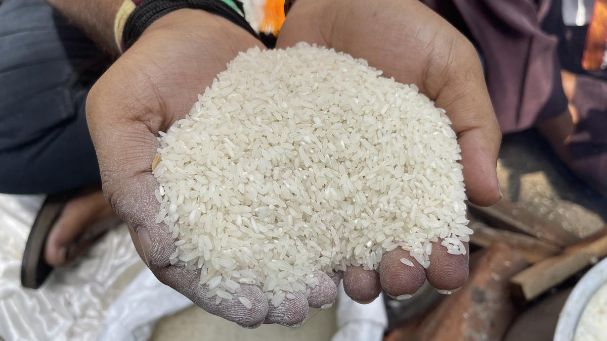 Search for rice: Govt. to firm up launch date by weekend after weighing in options and cost