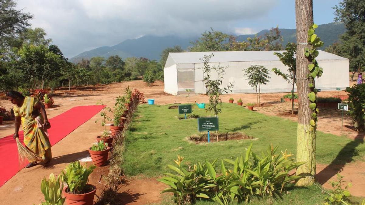 BU’s herbal garden in Coimbatore with more than 230 rare and endangered species gets a website 