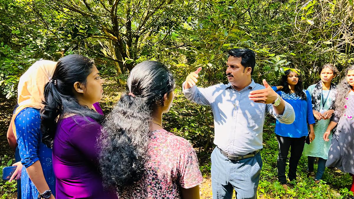 Shanthi Sthal in Chengannur: A garbage dump that metamorphosed into a lush mini-forest