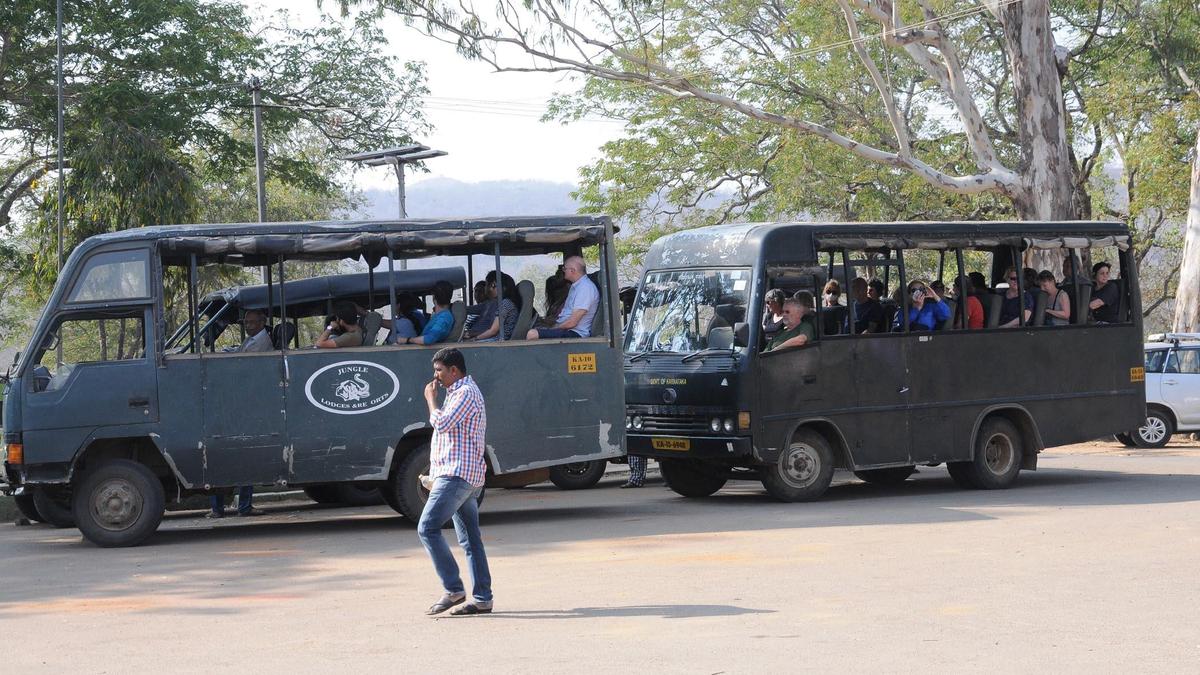 Travel operators urge Karnataka government to resume safaris as livelihoods hit