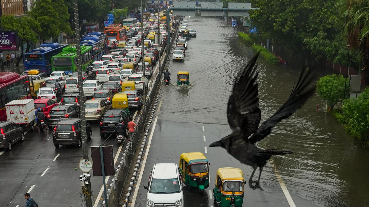 Delhi records highest single-day rainfall for July since 1982: IMD