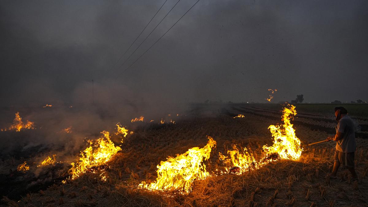 Punjab farmers’ bodies slam action against cultivators for stubble burning