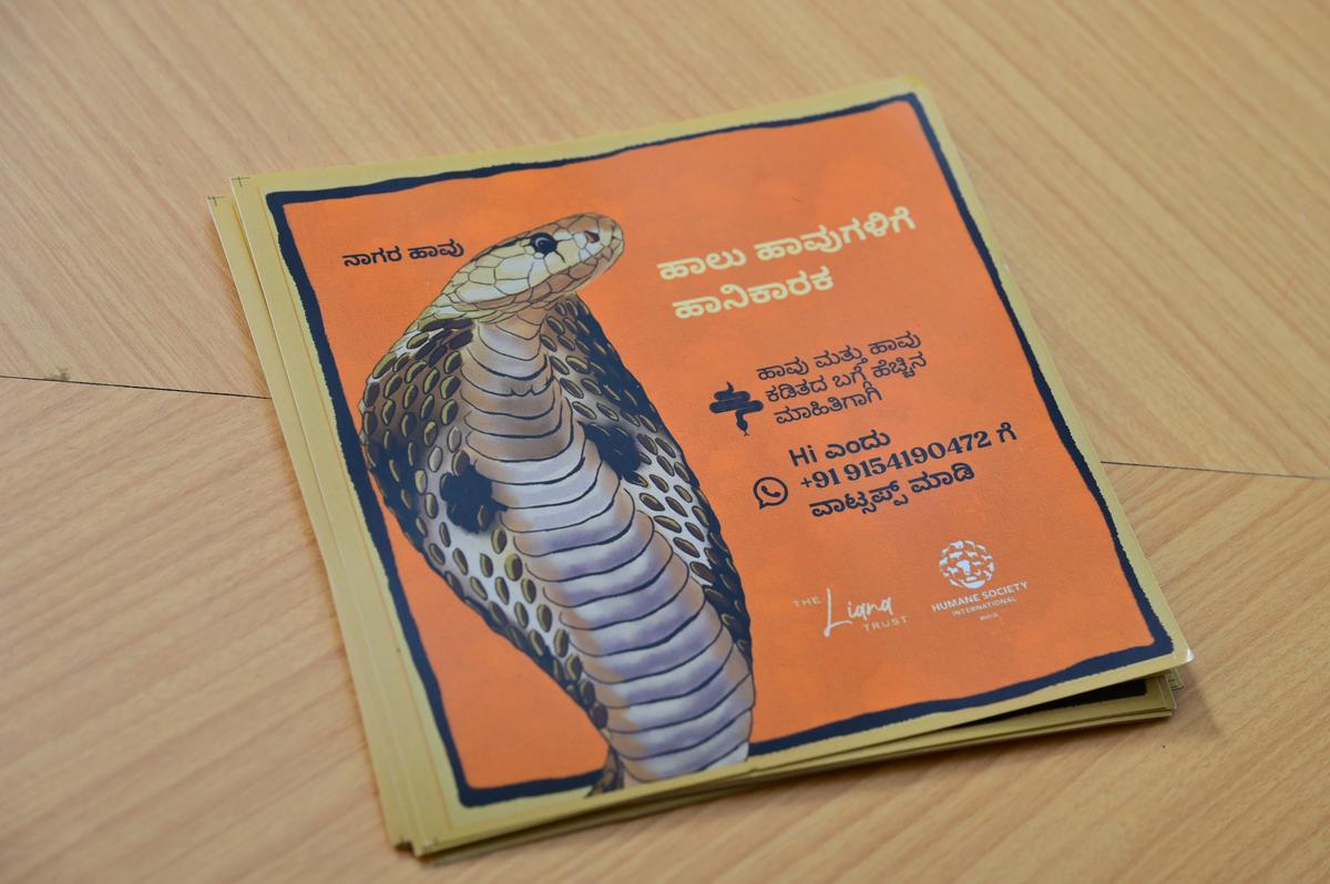 A poster of the WhatsApp chatbot on snakebite awareness.  