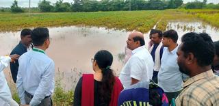 Farmers seek more compensation for crop damage by wild animals in Dharwad  district of Karnataka - The Hindu