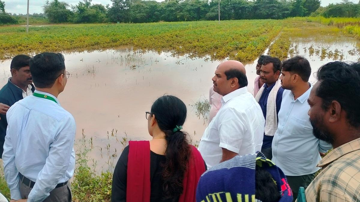 Bandeppa Khashempur urges government to provide minimum ₹25,000 per acre as compensation to farmers