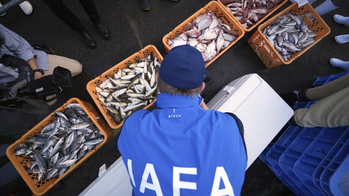 Scientists test Fukushima fish after nuclear plant water release