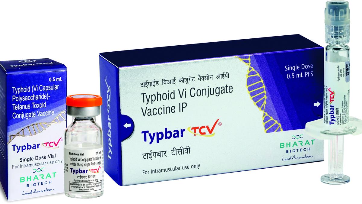 Why India needs to include the typhoid conjugate vaccine in its universal immunisation programme
Premium