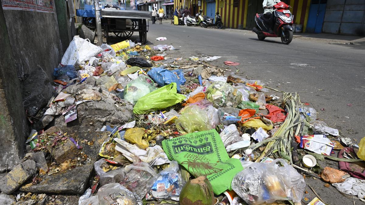 Roadside dumping hot spots in Coimbatore city to be turned into green spaces