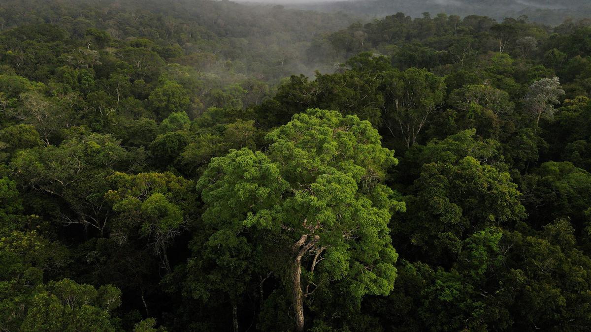 14 killed in plane crash in Brazil’s Amazon rainforest