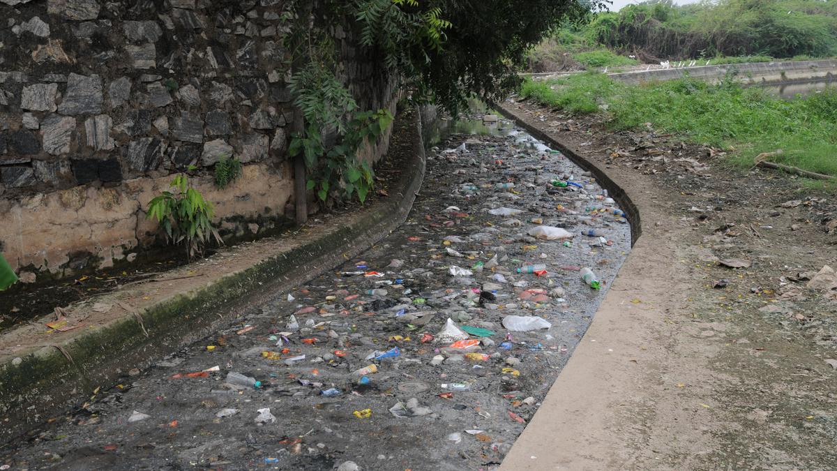Residents want plastic waste removed from Kalingarayan baby canal in Erode