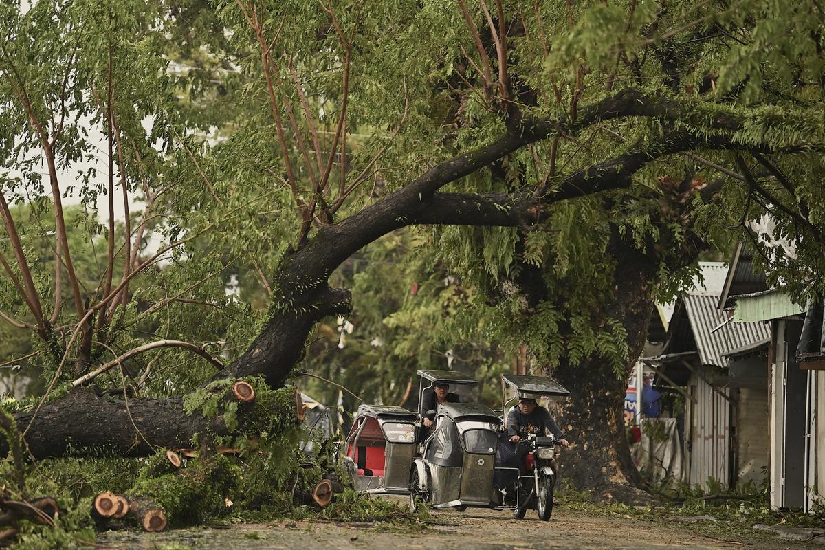 मोटर चालक 18 नवंबर, 2024 को पूर्वोत्तर फिलीपींस के औरोरा प्रांत के बालेर नगर पालिका में एक सड़क के किनारे टाइफून मैन-यी से तेज हवाओं के कारण गिरे हुए पेड़ों के पास यात्रा करते हैं। 