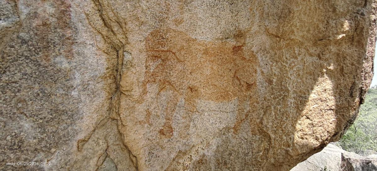 जिले के मुलुगु मंडल के दासरलापल्ली गांव में 'एनुगुला गुंडू' पर एक हाथी की पेंटिंग।