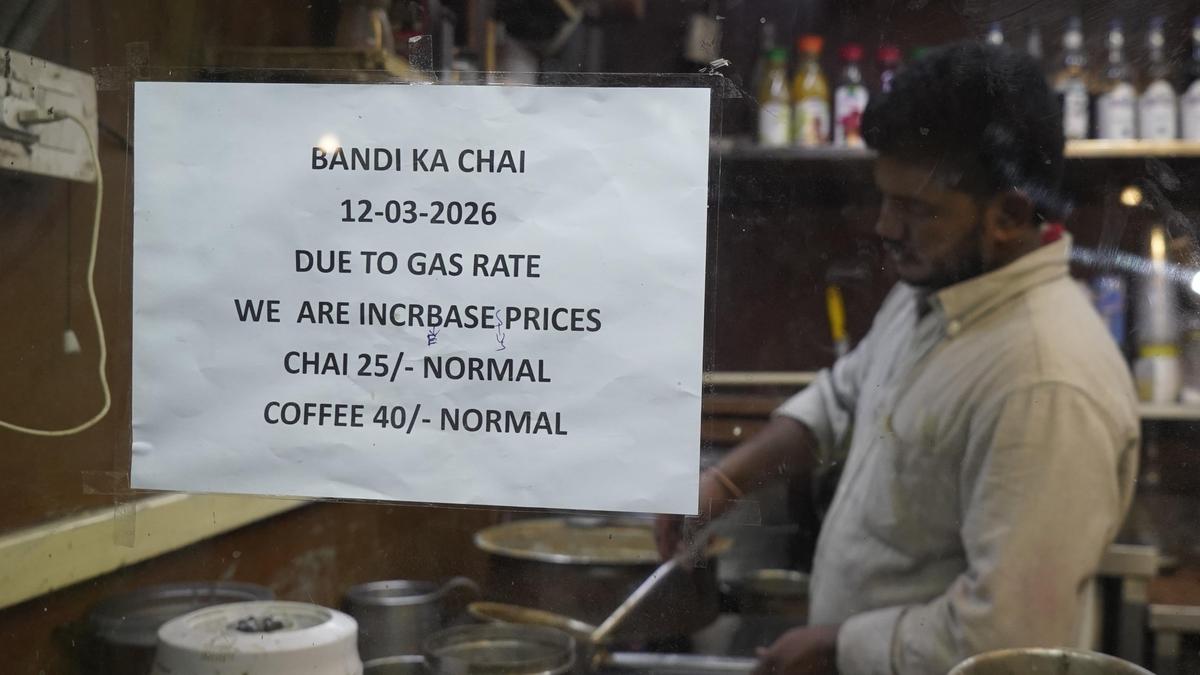 LPG and oil crisis updates on March 14, 2026: Commercial LPG sales start in all States and UTs, says Oil Ministry official