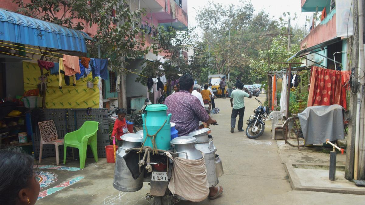 Guidelines issued to check milk adulteration in A.P.