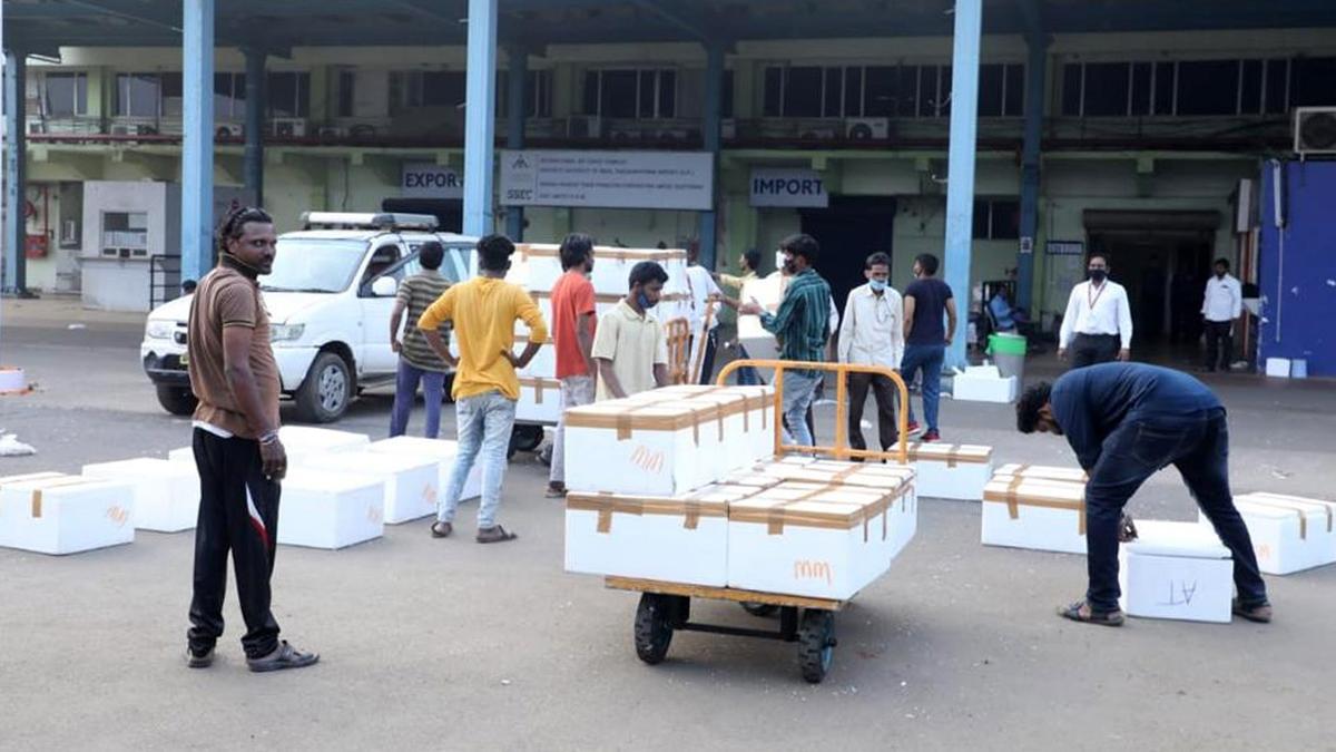 Officials permit IndiGo to take up self-handling outbound cargo services at 12 airports in the country, including three in Andhra Pradesh