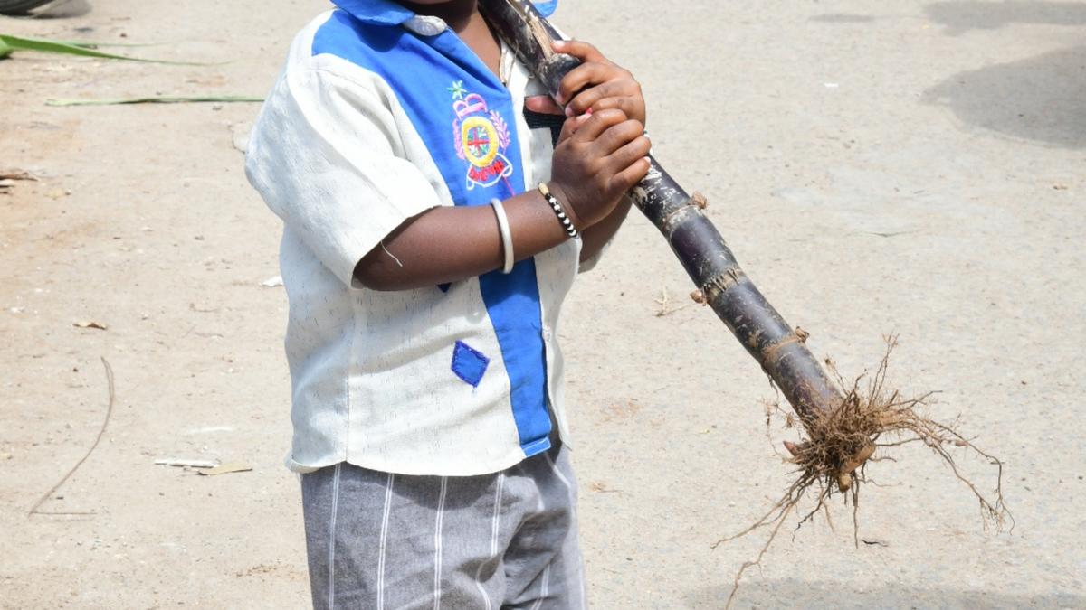 Pongal hampers to be distributed to over 4.67 lakh card holders in Dharmapuri