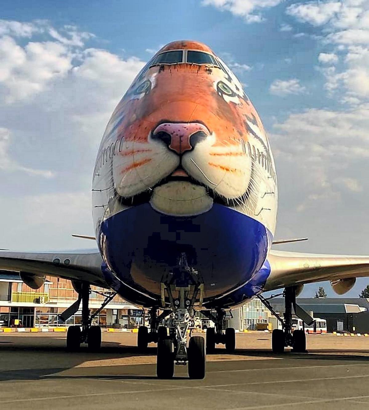 A file photo of the special airplane that carried eight cheetahs from Namibia to India en route Kuno-Palpur National Park in Bhopal. 