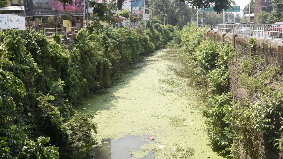 Encroachment on waterbodies in Kozhikode goes unchecked