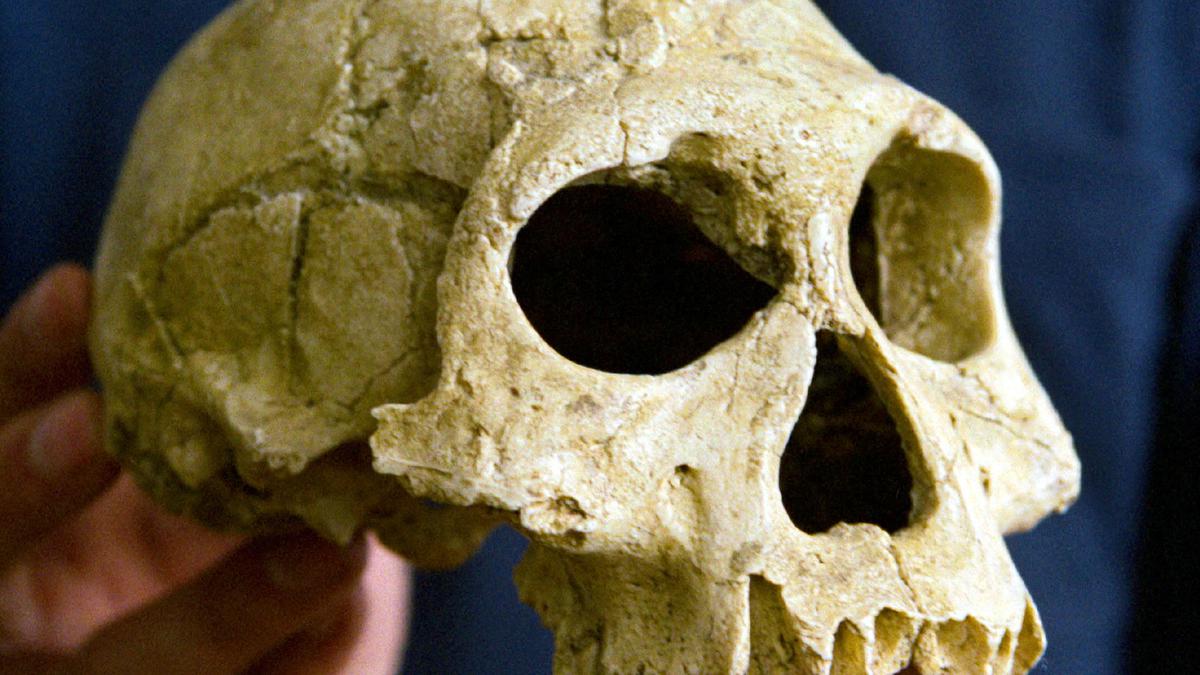 A cooling event 1.1 million years ago doomed early human in Europe