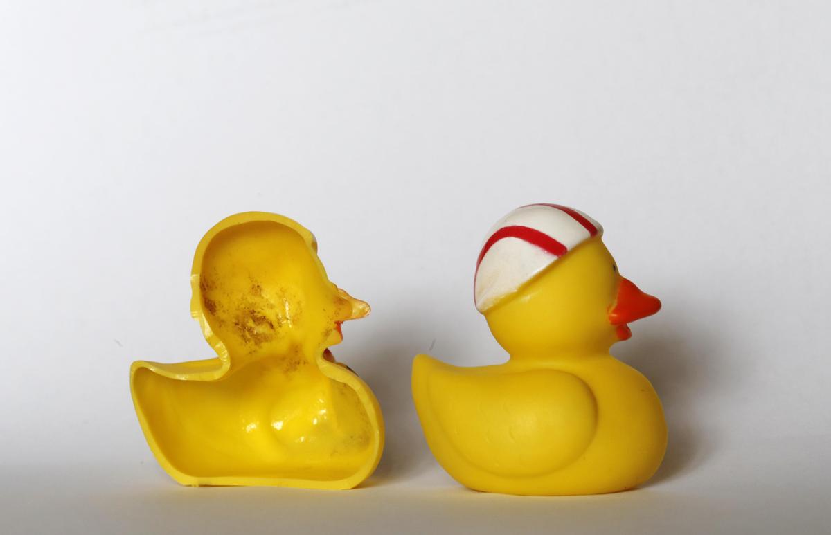 The March 27, 2018 photo shows the inside of a rubber duck after it was cut open for the photo in Nauen, Germany. Swiss researchers said the cute, yellow bath-time friends harbour a dirty secret: Microbes swimming inside. The Swiss Federal Institute of Aquatic Science and Technology says researchers turned up dense growths of bacteria and fungi on the insides of toys like rubber ducks and crocodiles.