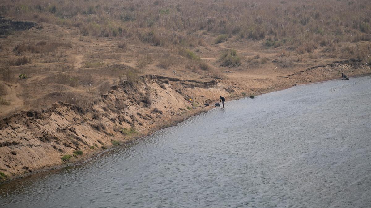 Drying Bharathapuzha exposes impact of human intervention